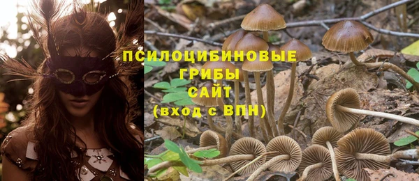 бошки Алексеевка