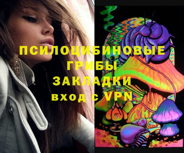 молекула духа Алексин