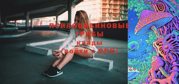крисы Алзамай