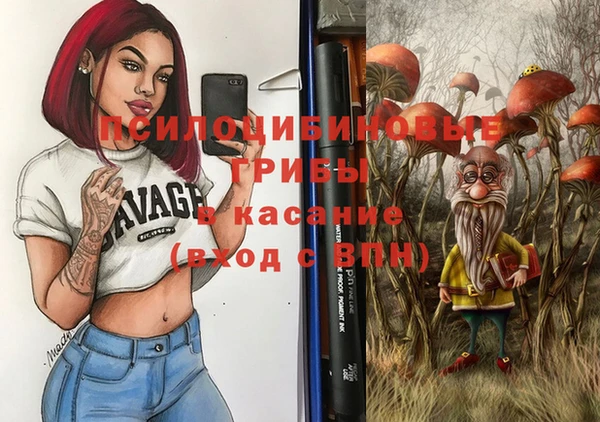 крисы Алзамай