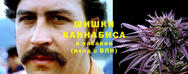 молекула духа Алексин