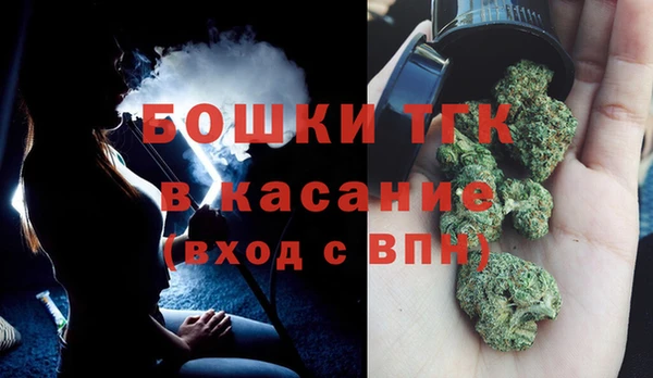 молекула духа Алексин